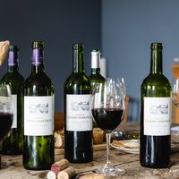 Classic Tasting Case