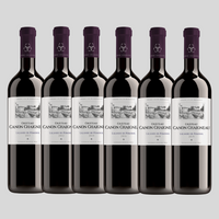 Classic Tasting Case