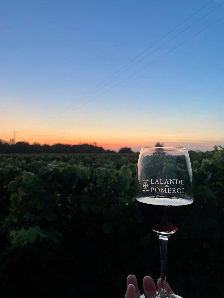 What Summer smells like in the Cellar