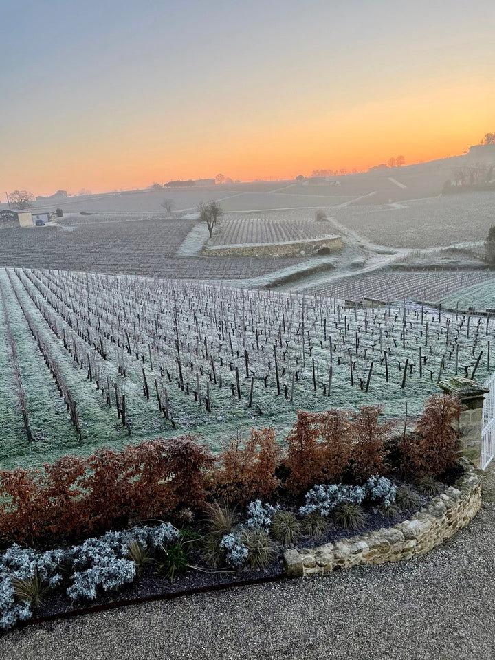 Spring Frost in Lalande de Pomerol: A Silent Threat