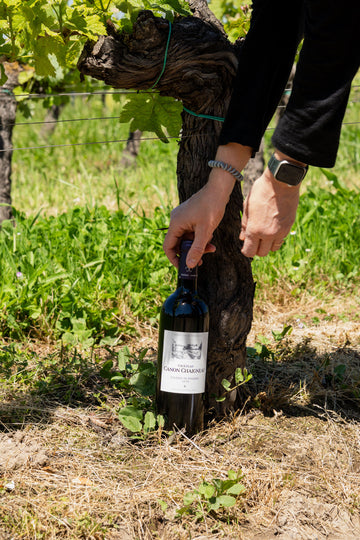 Outstanding Terroir